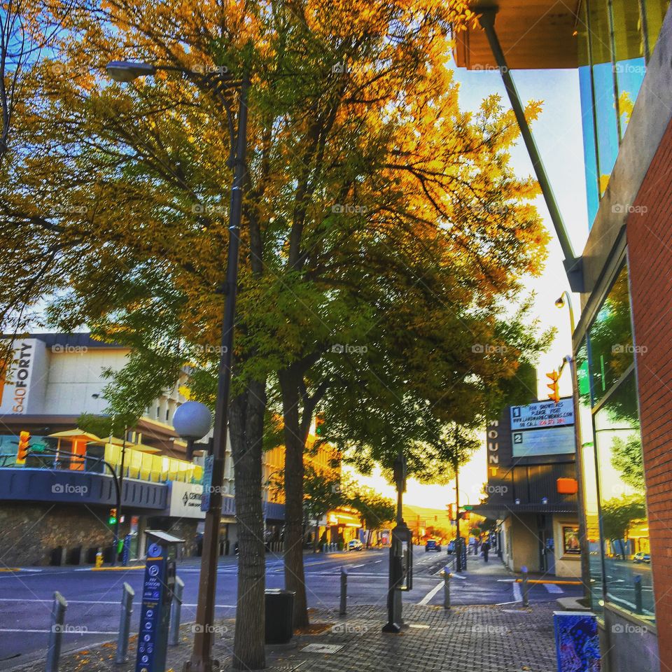 Beautiful fall day in Kamloops 