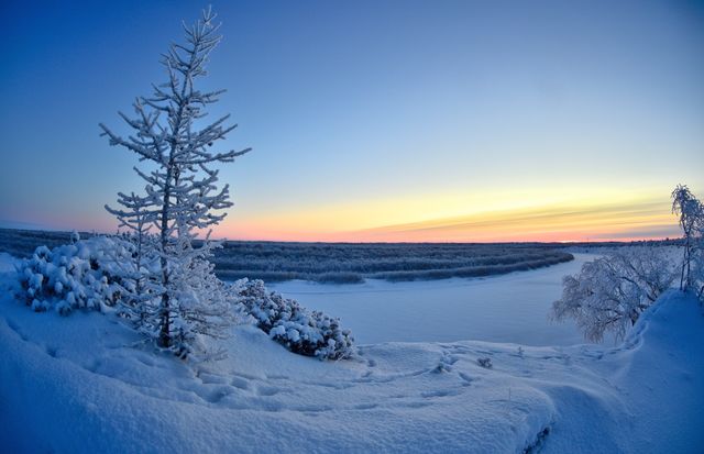 Winter, dawn, Arctic, morning, winter river, evening, winter silence, silence, frost, morning, predawn, red, traces of animals