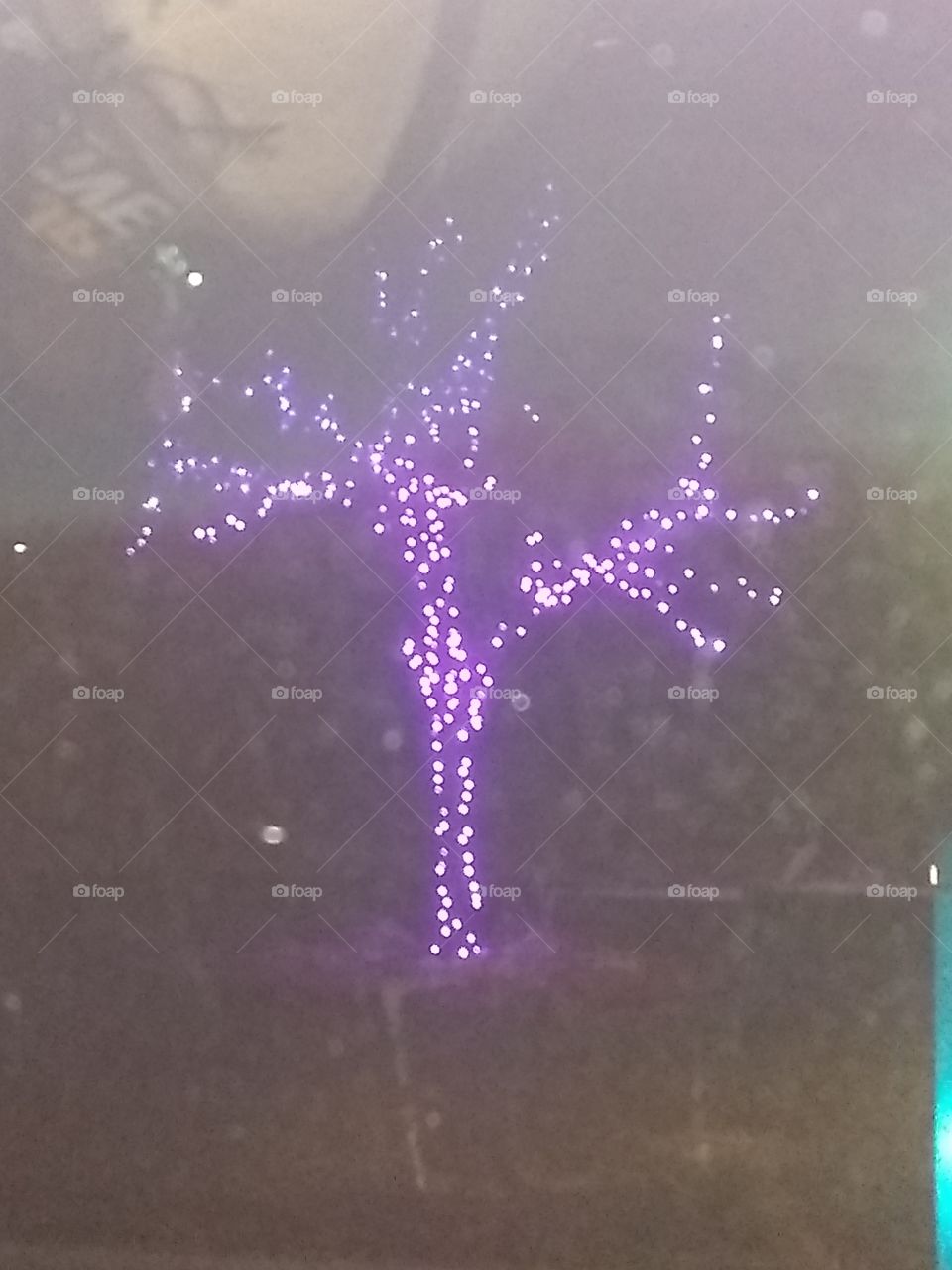 purple lights on tree