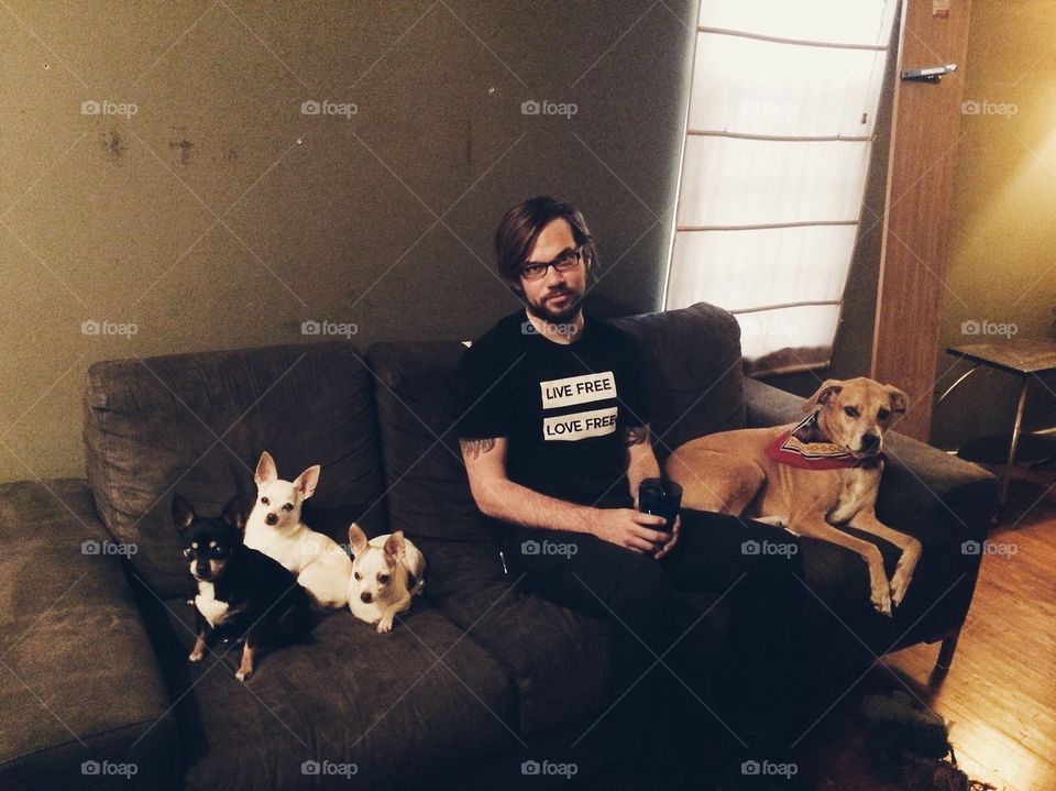 Dog, Canine, Room, People, Sofa
