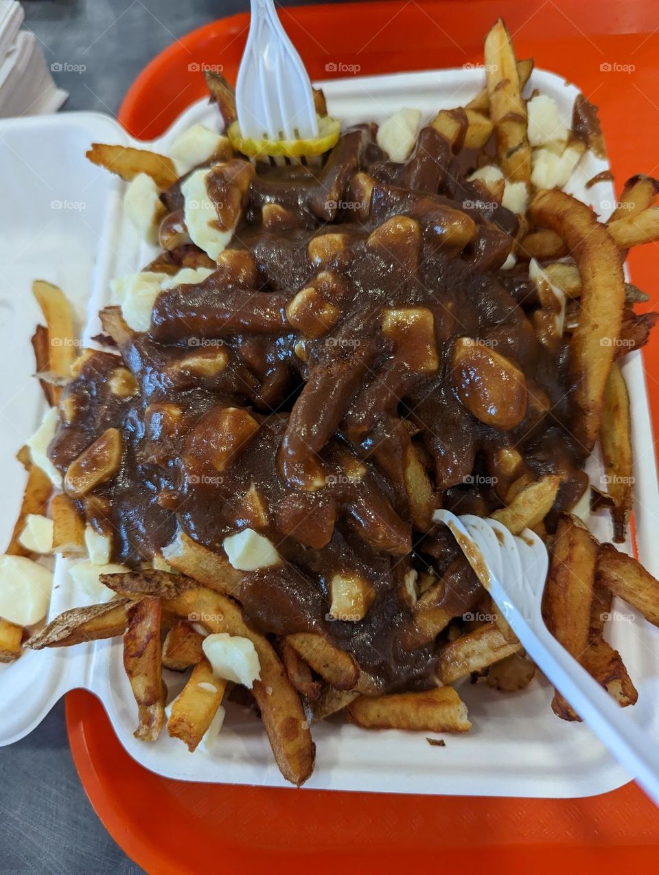 poutine fries