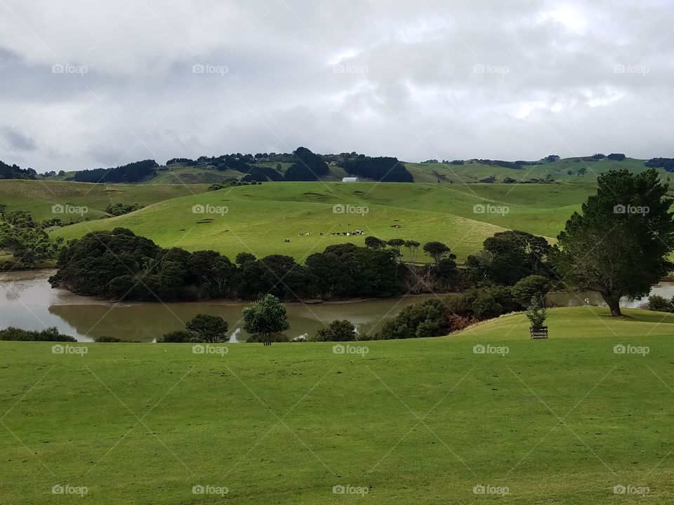 NZ Golf