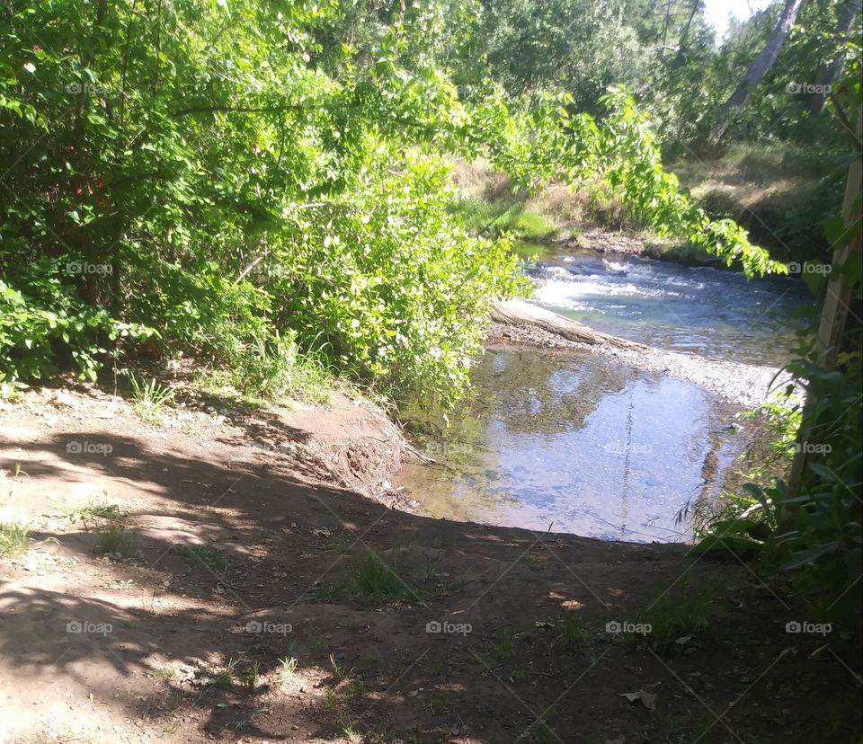 small creek in summer time near park