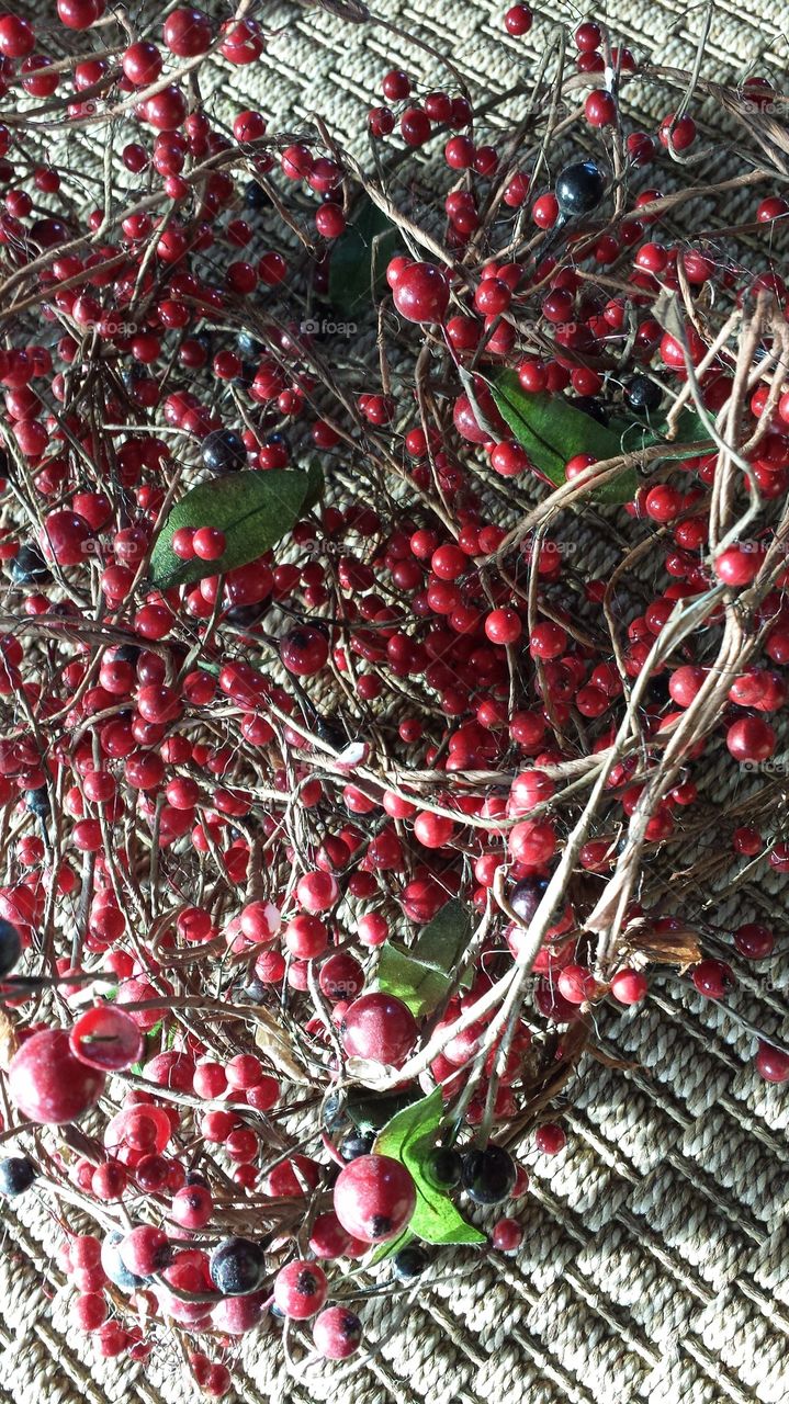 holly berries