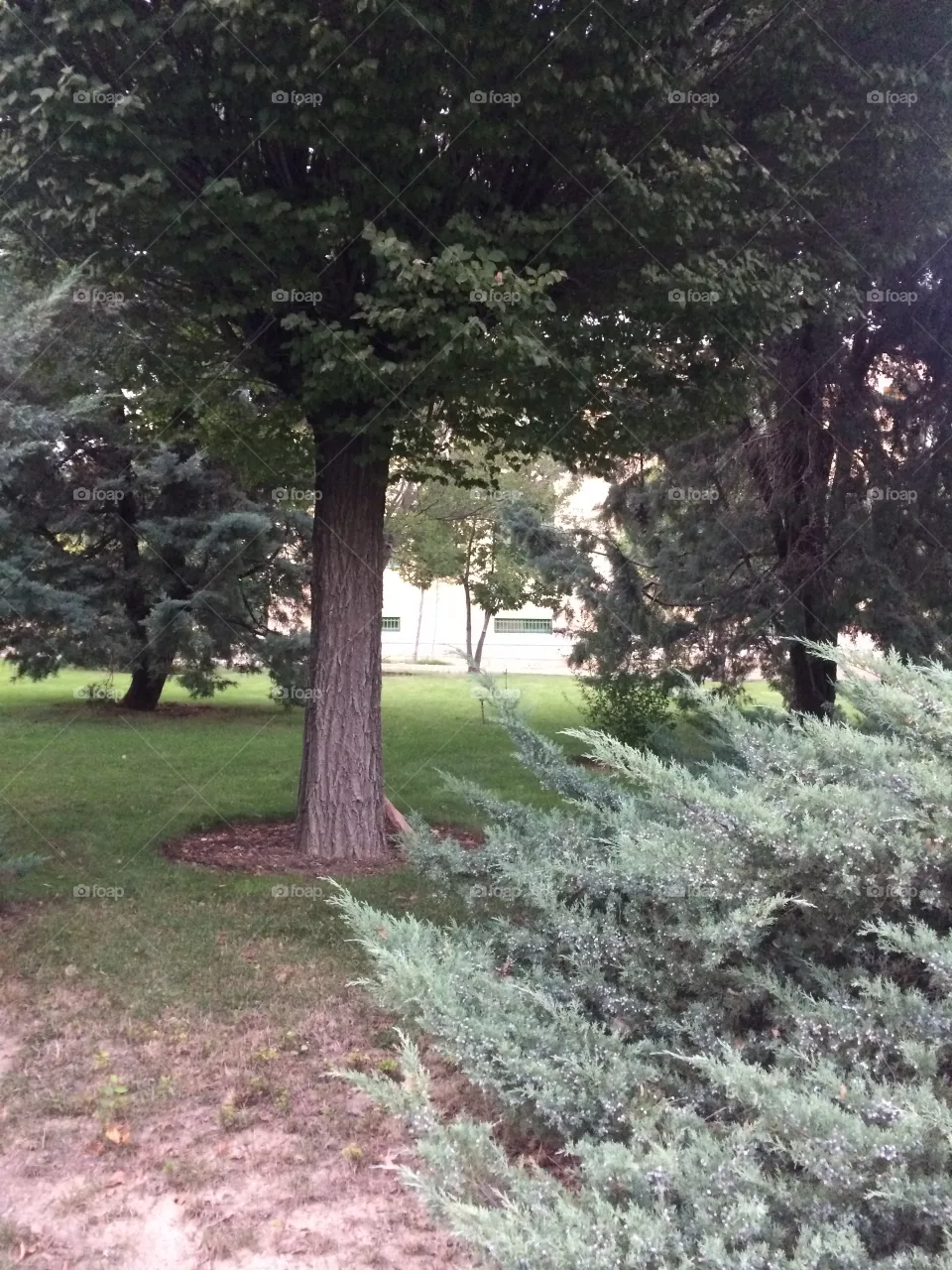 Park