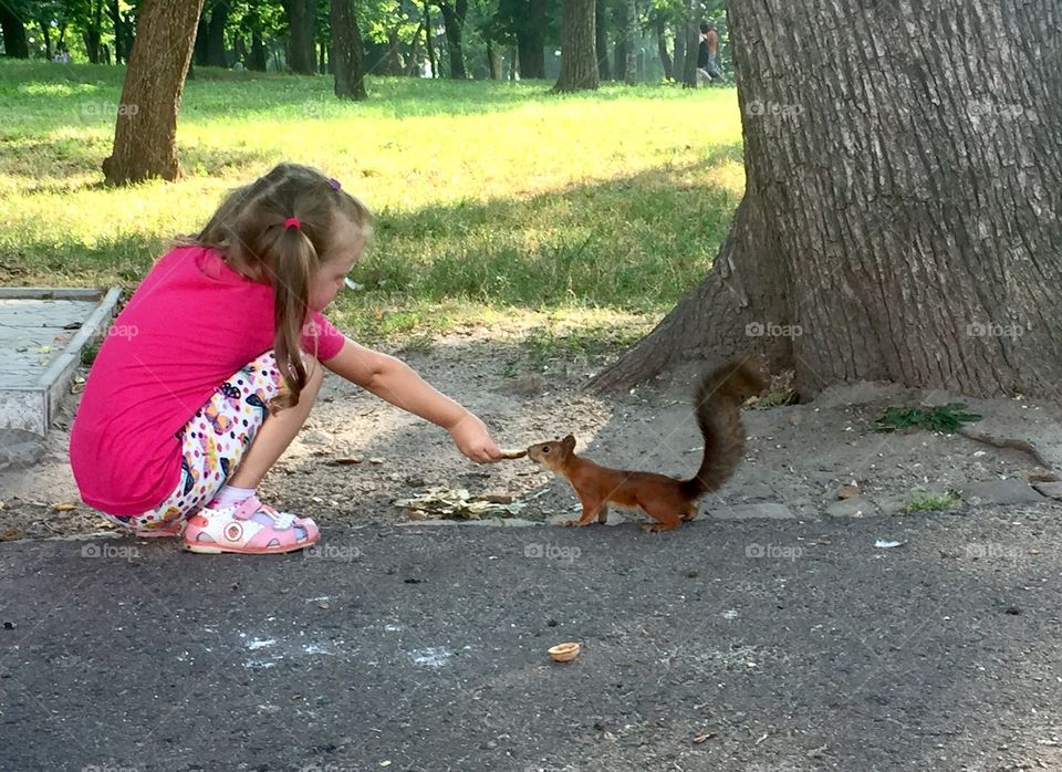 The girl feeds a squirrel