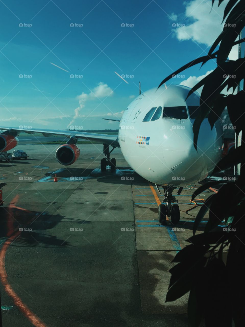 Airplane, Aircraft, Airport, Transportation System, Flight
