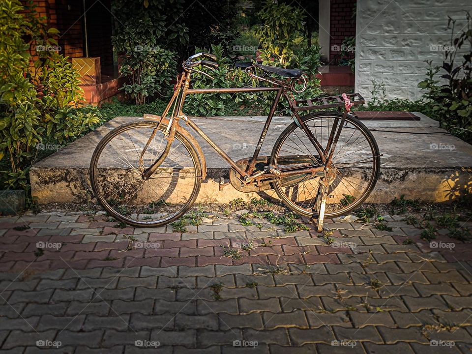 My vintage cycle