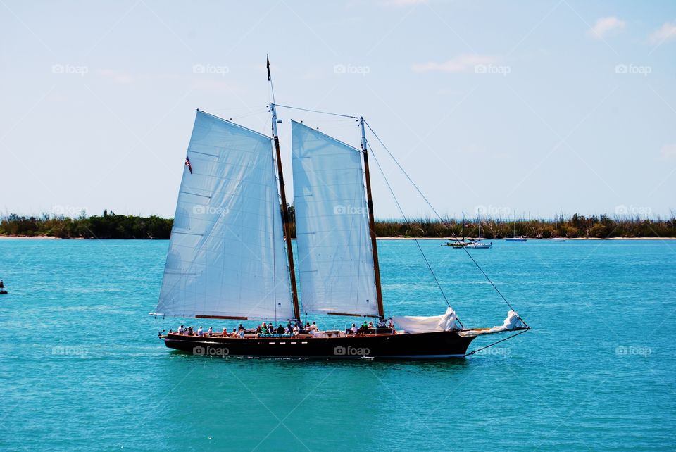 Sail Boat . Sail Boat