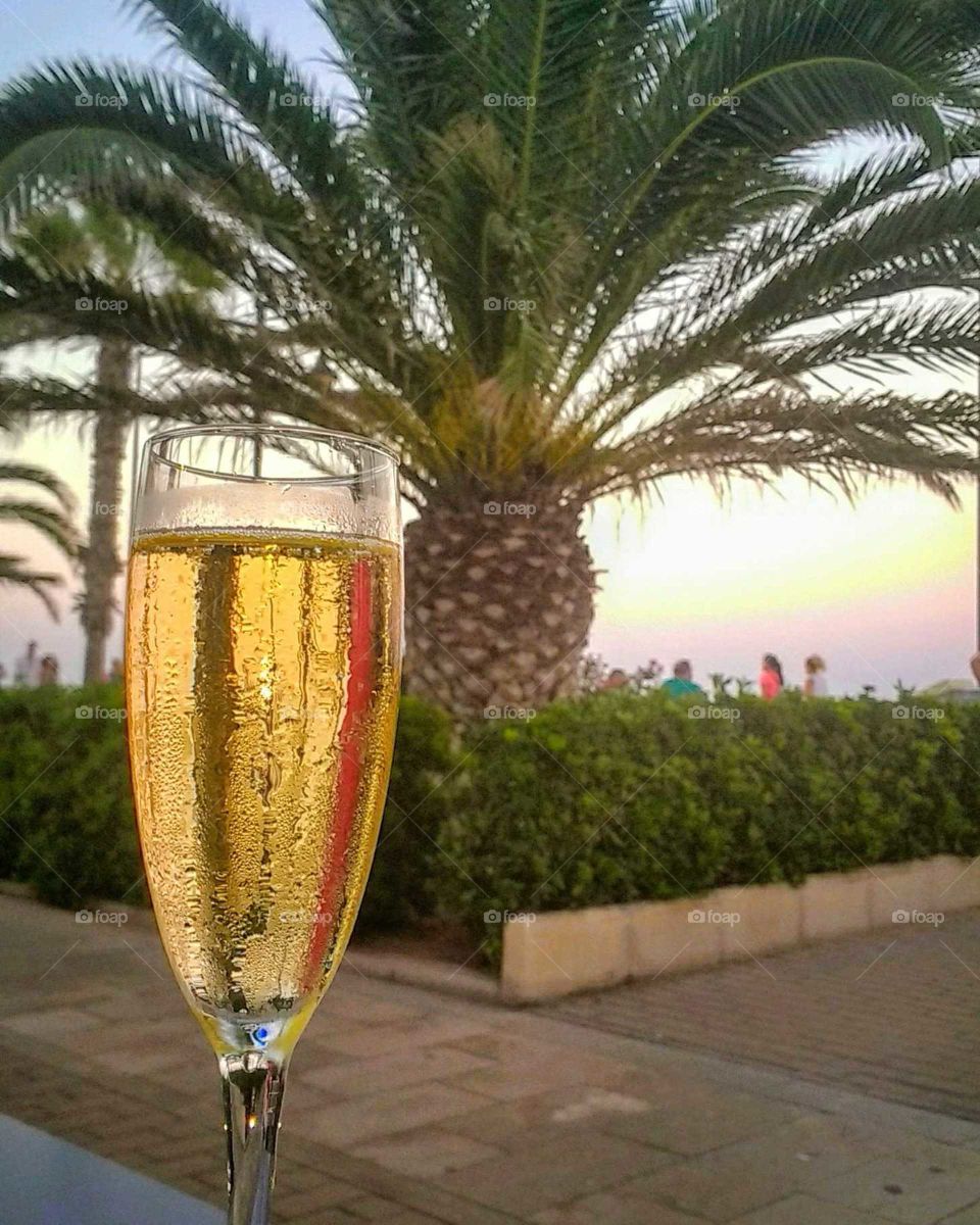 champagne drink palm