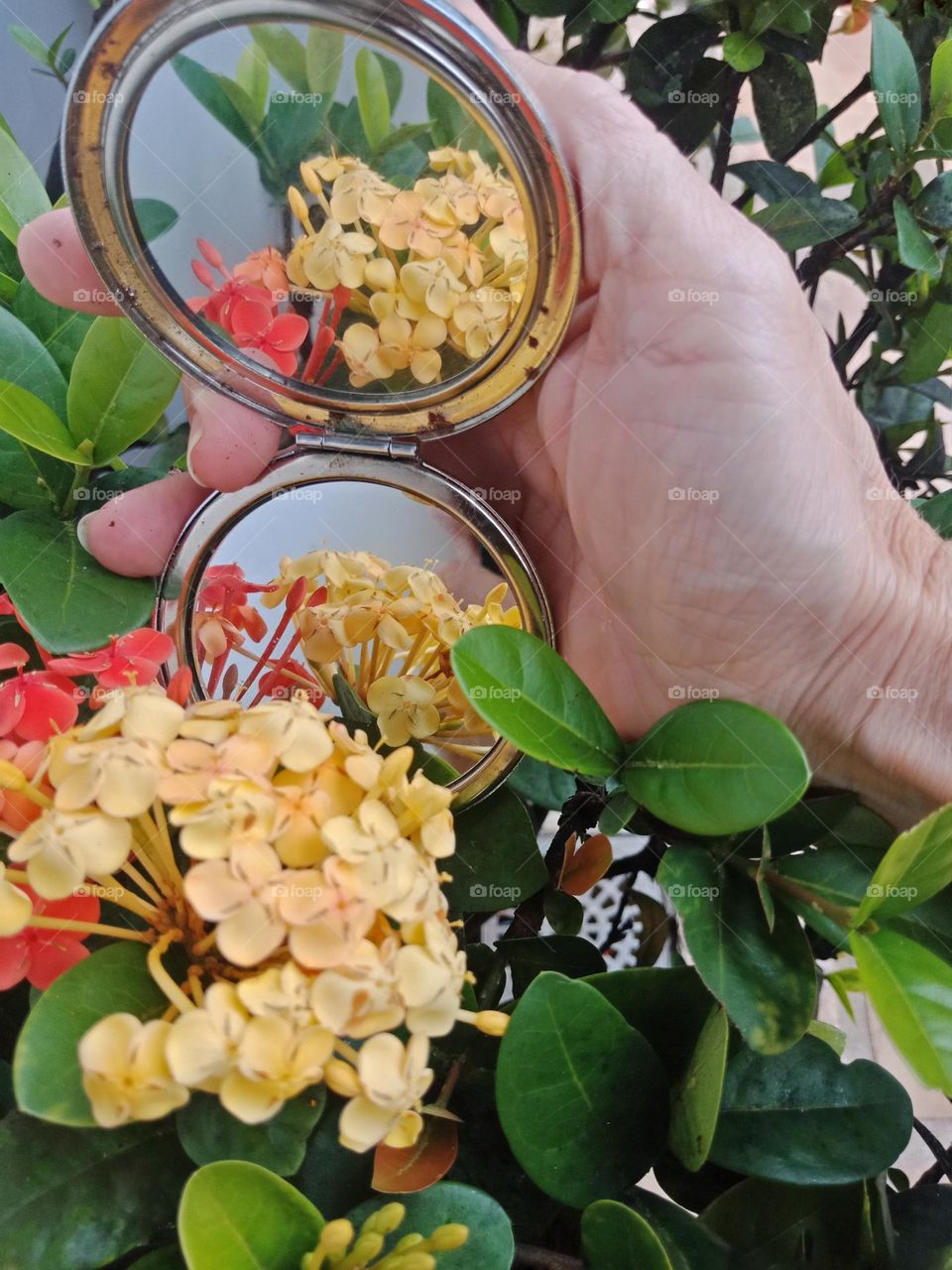 Playing with a hand mirror in a garden