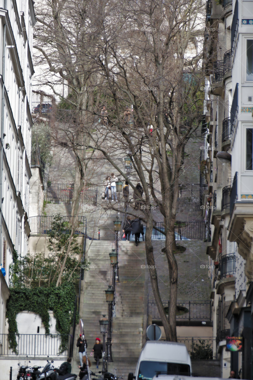 street in the old town of paris