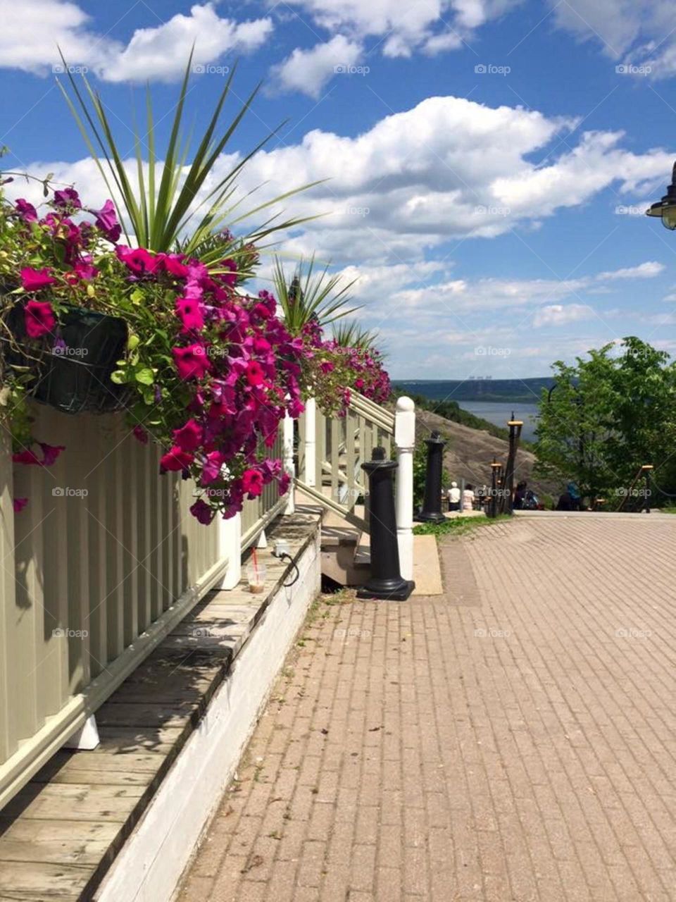 Quebec City urban garden 