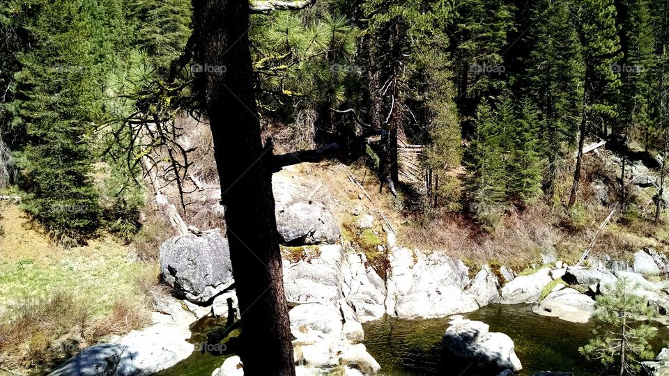 camping. view from camp