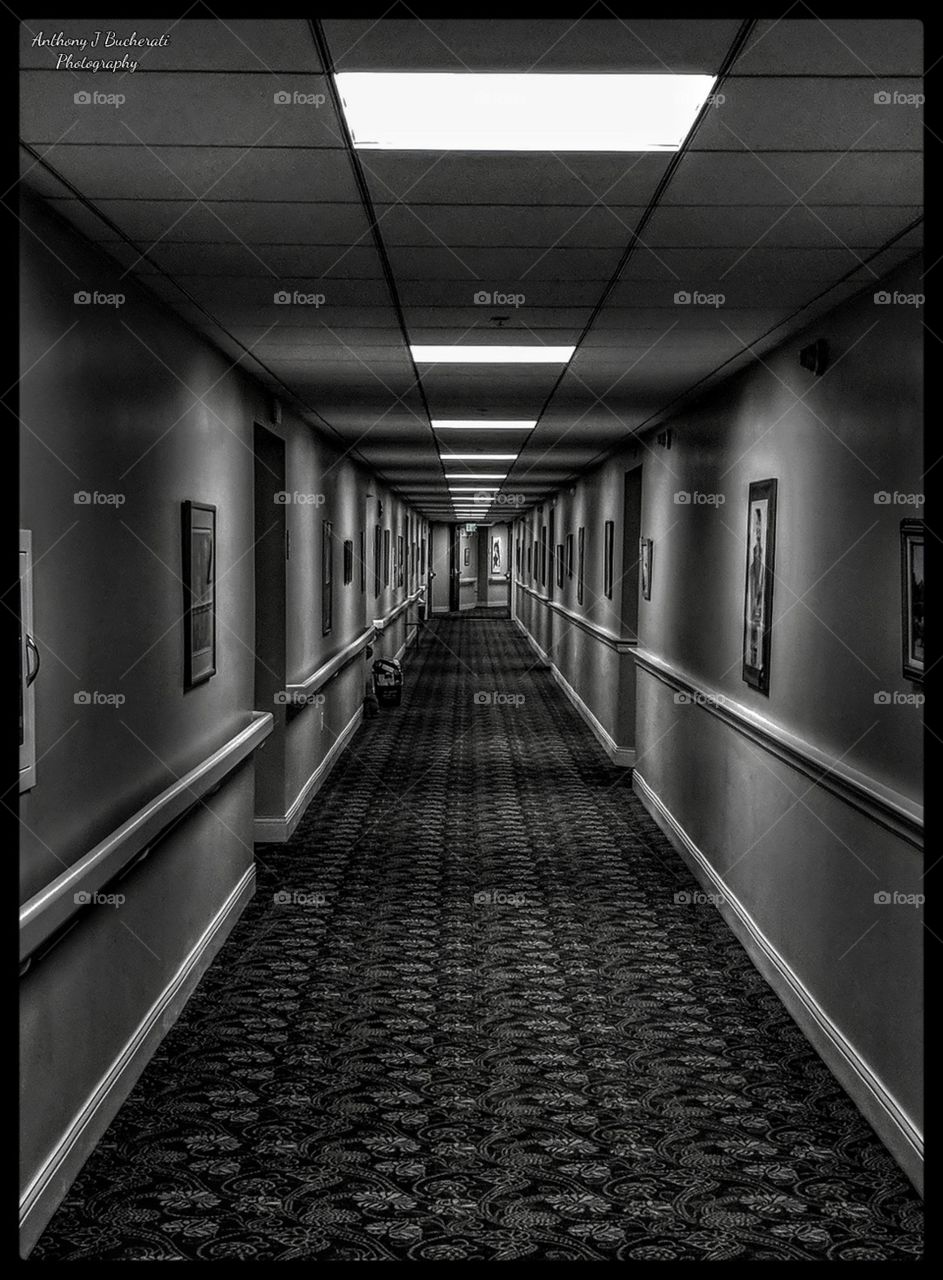 Shadow and Light with repeating elements.