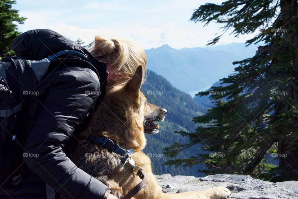 Dog looking at mountains