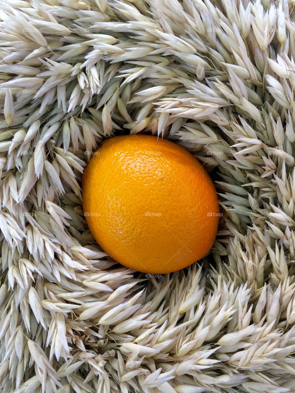 Close-up of a orange