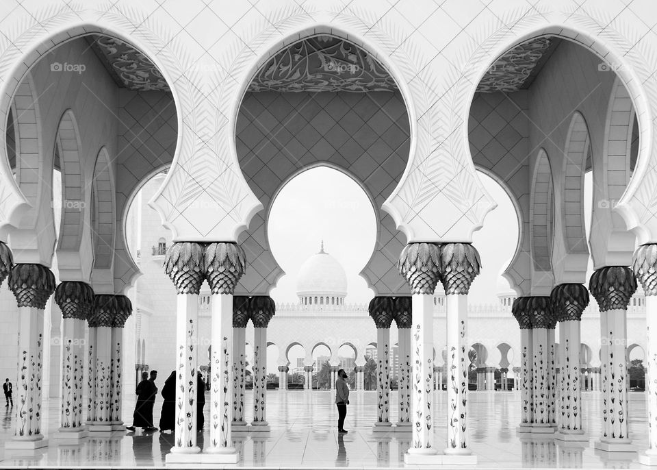 Incredible Abu Dhabi White Mosque Architecture in B&W