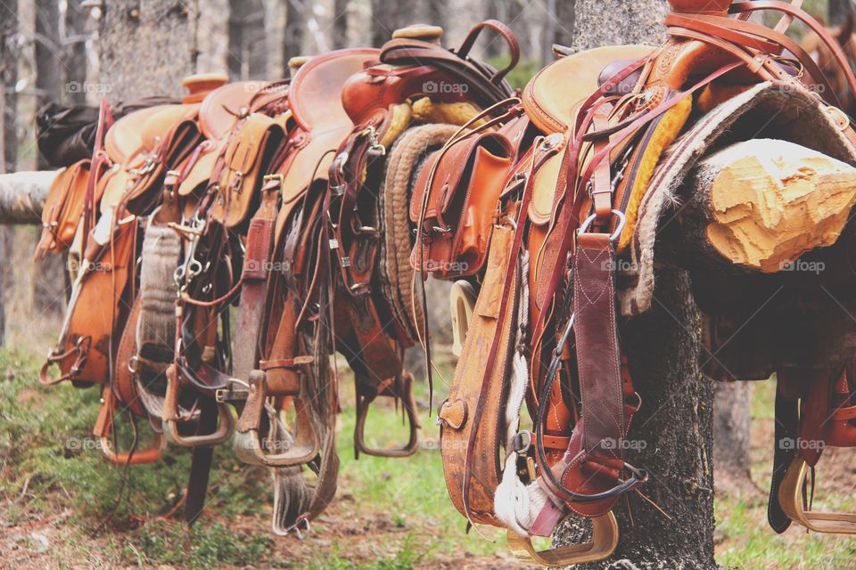 Choose your saddle. 