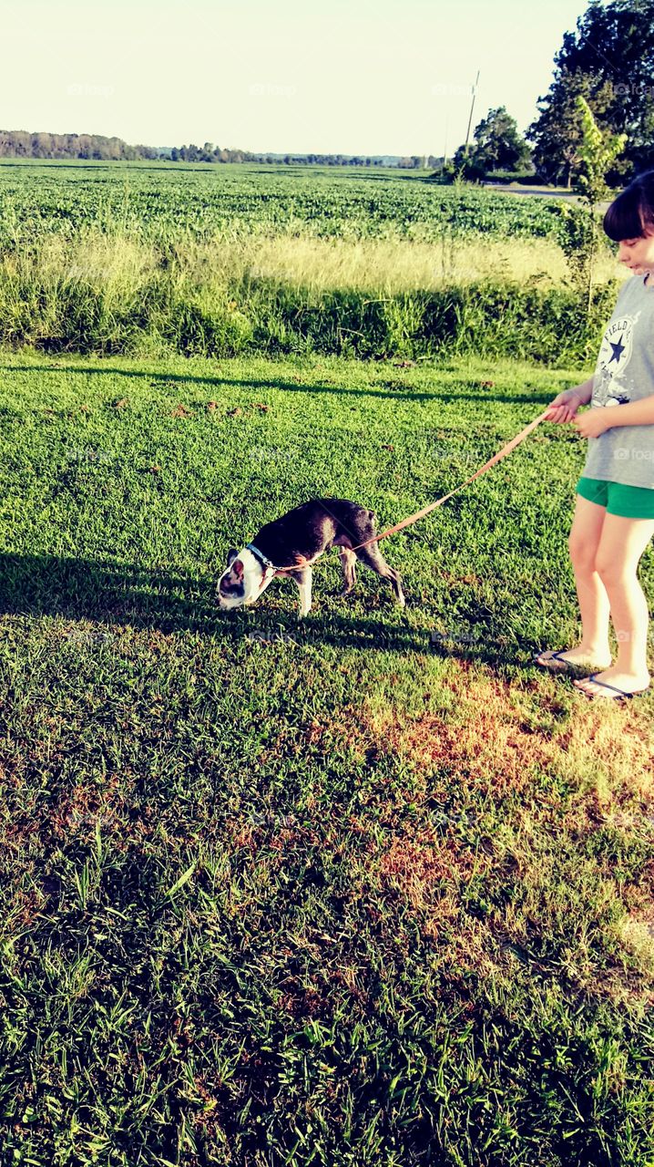 Just sniffing around