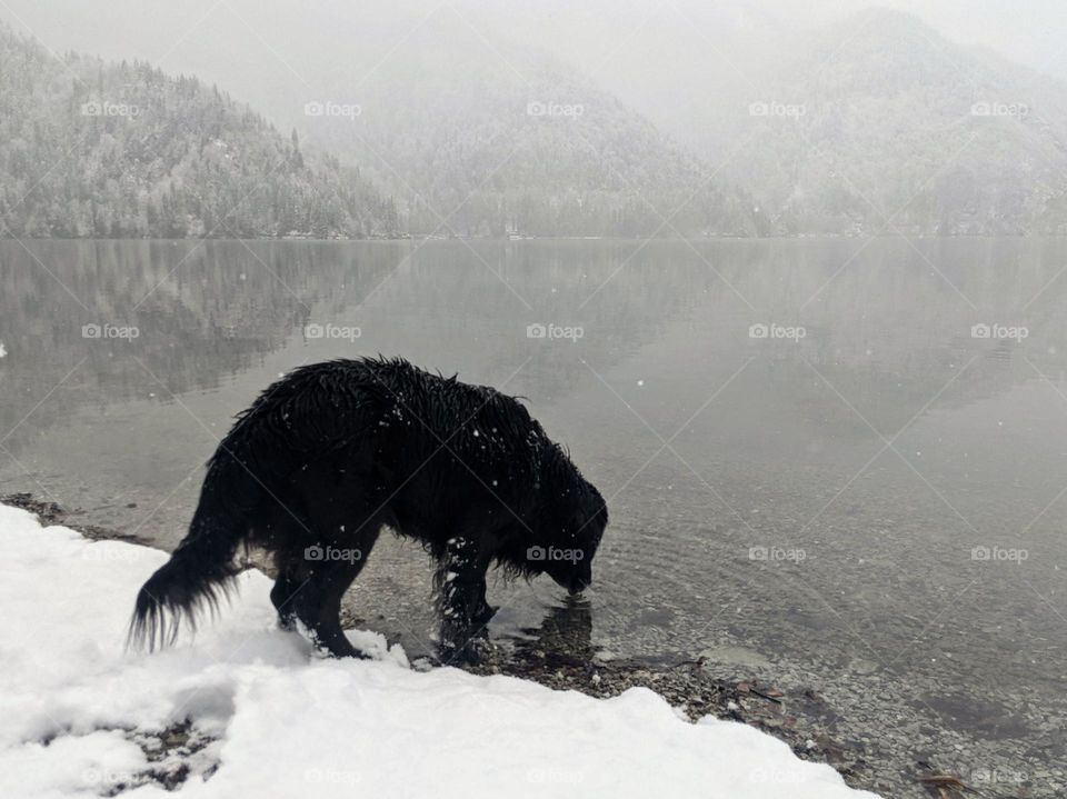 natural black & white. no filters