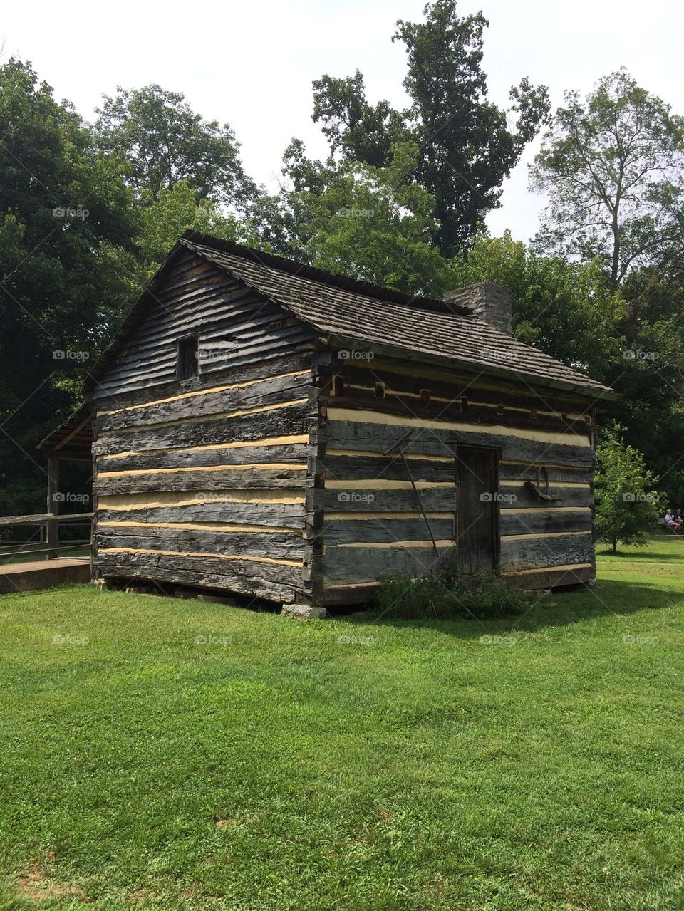 King of the wild frontier