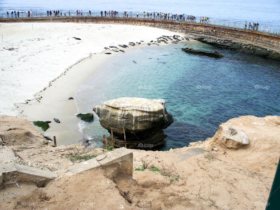 Seal Cove at La Jolla Beach