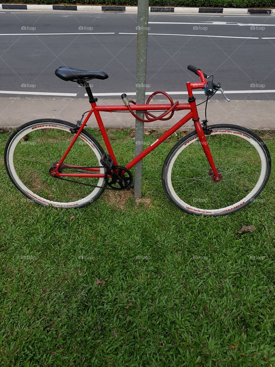 red bicycle parked on the green