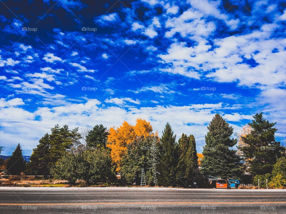 Vernal, Utah, USA. Fall trees and beautiful sky. 