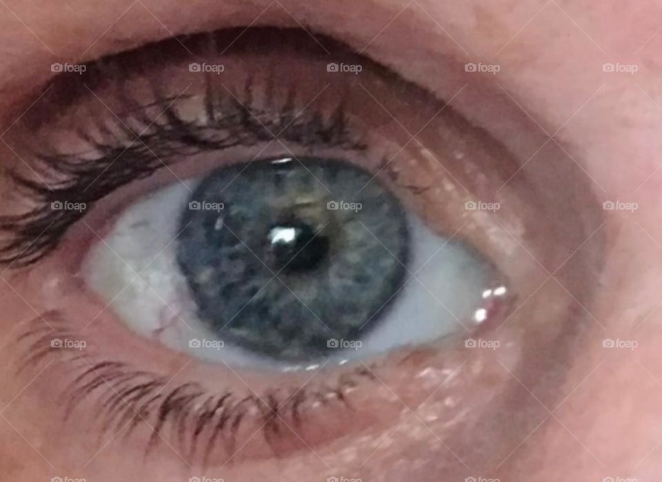 One of Timothy’s beautiful blue eyes photographed up close in Bushwick Brooklyn in 2017 showing a lot of detail. Hypnotic Productions