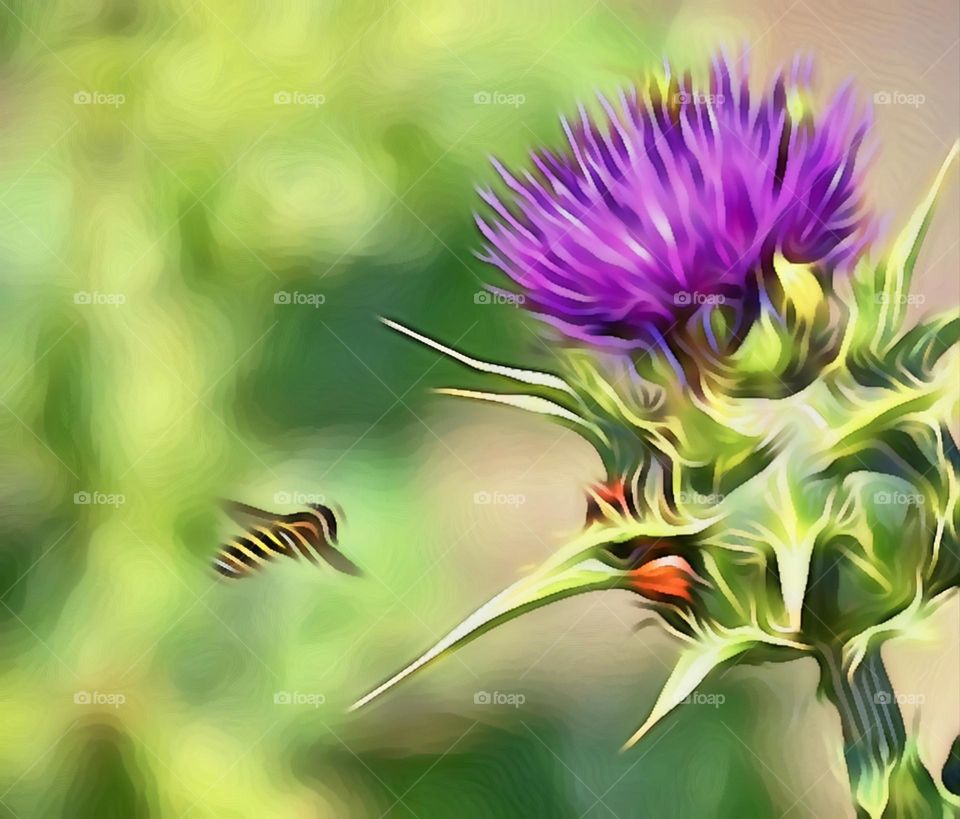 digital artistry,  my point of view in nature photography by Mark Sarden