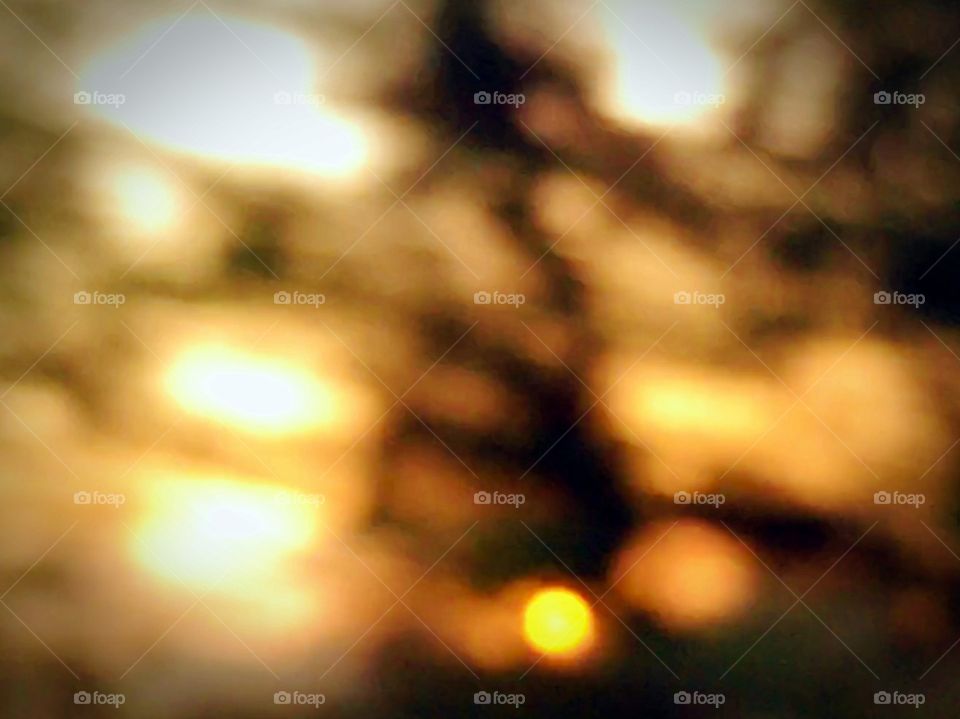 Glimmer of sunshine yellow sky and shadows of trees