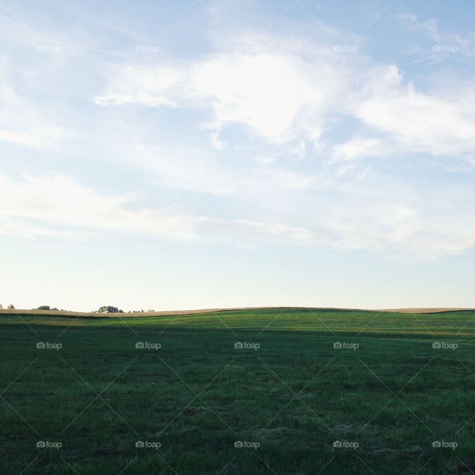 Scenic view of farm