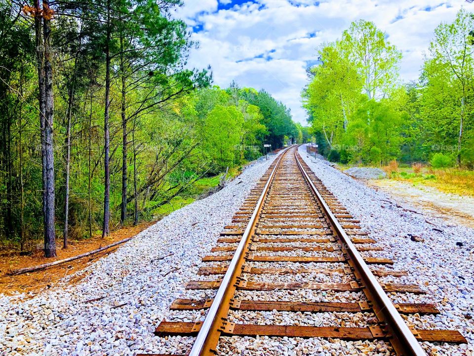 Railroad Tracks leading into the wood line 