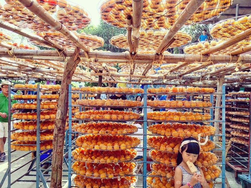 Trays and trays of persimmons drying under the sun. The little girl is catching some rays too while enjoying a persimmon pop sickle. The orchard makes all kind of products from persimmon ranging from jam to drinks. Orchard is located in Hsinchu, Taiwan.