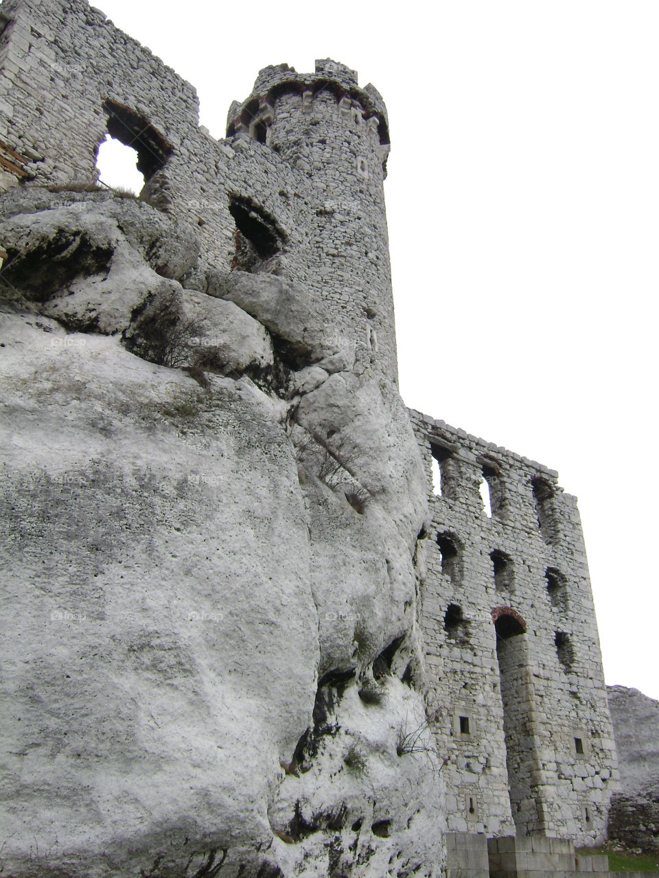 The ruins of a once majestic castle in Poland still stand at majestic heights. 