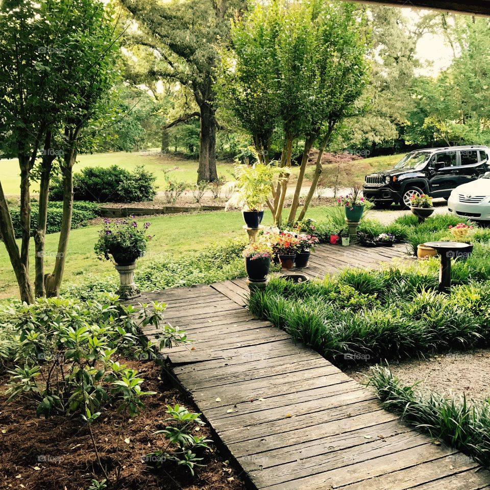 My grandmother's walkway.