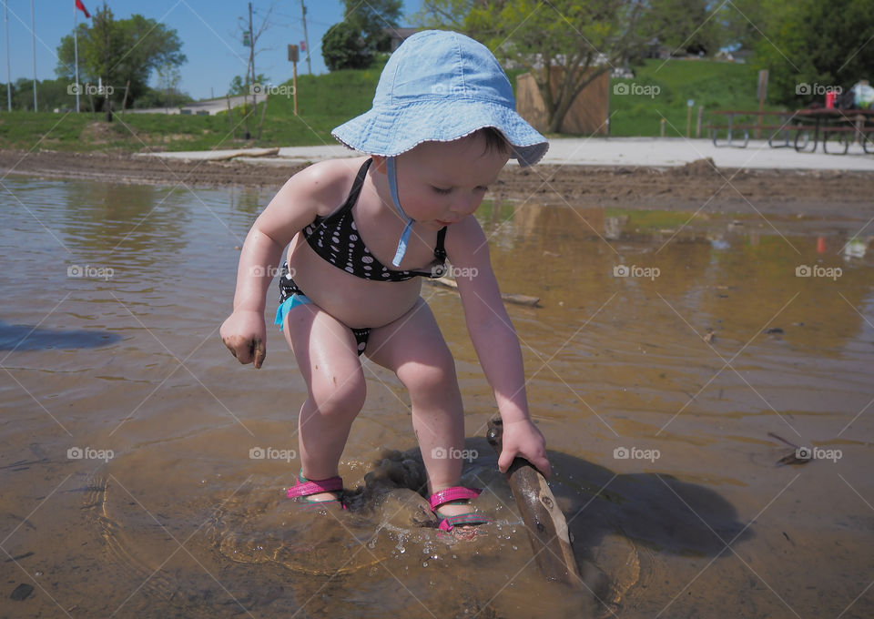 Toddler girl chasing tadpoles with a stick.