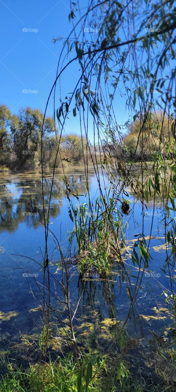 Karoo Dam Reflections