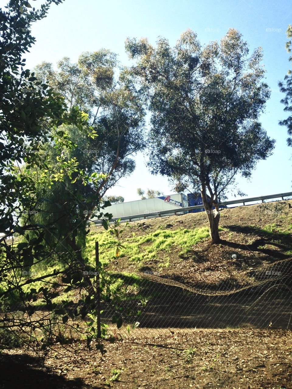 Big Rig Freeway Run

Published by:
HappyBrownMonkey 