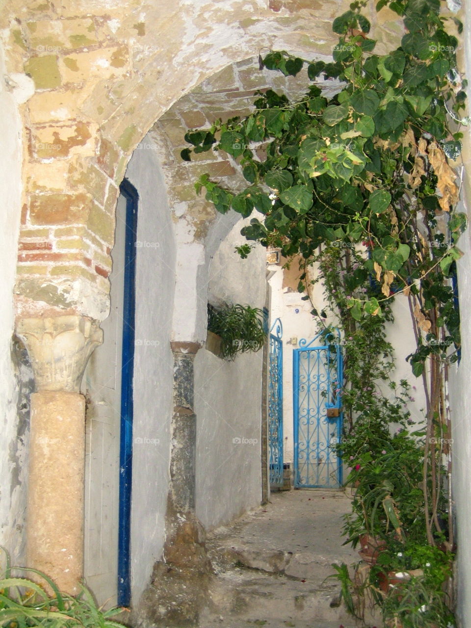 Narrow street in Tunisia with beautiful doors