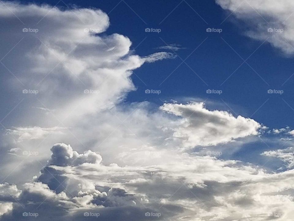White feather like clouds on the sky 