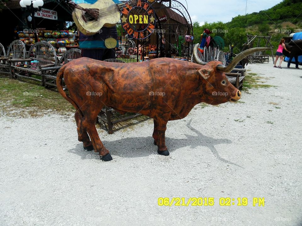 Texas finest  longhorns . this is a picture of a bull statue for sale at a gift  shop  in Mineral Wells  Texas 