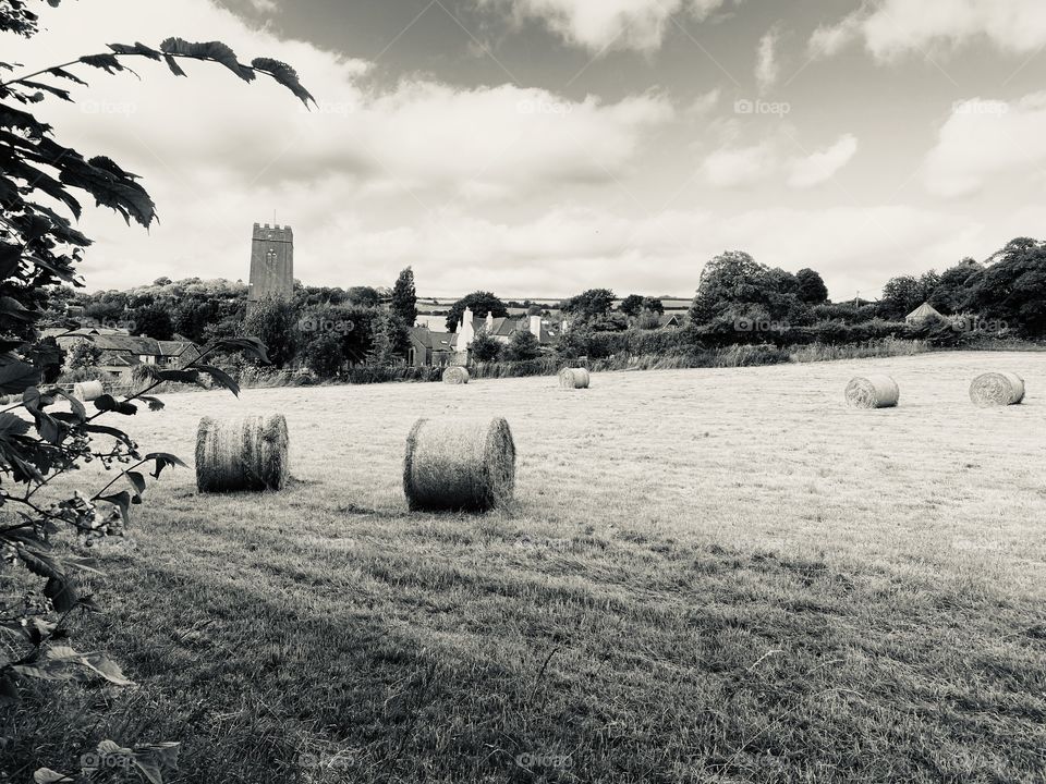 I love black and white countryside scenes and the barrels of hay, always present so very real in b and w.