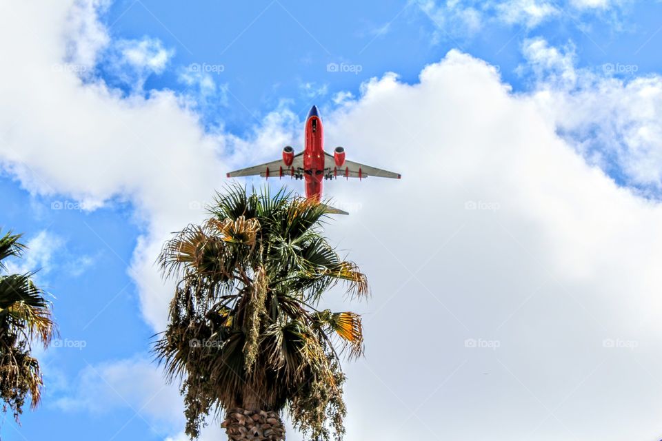 Tree, Sky, No Person, Travel, Outdoors