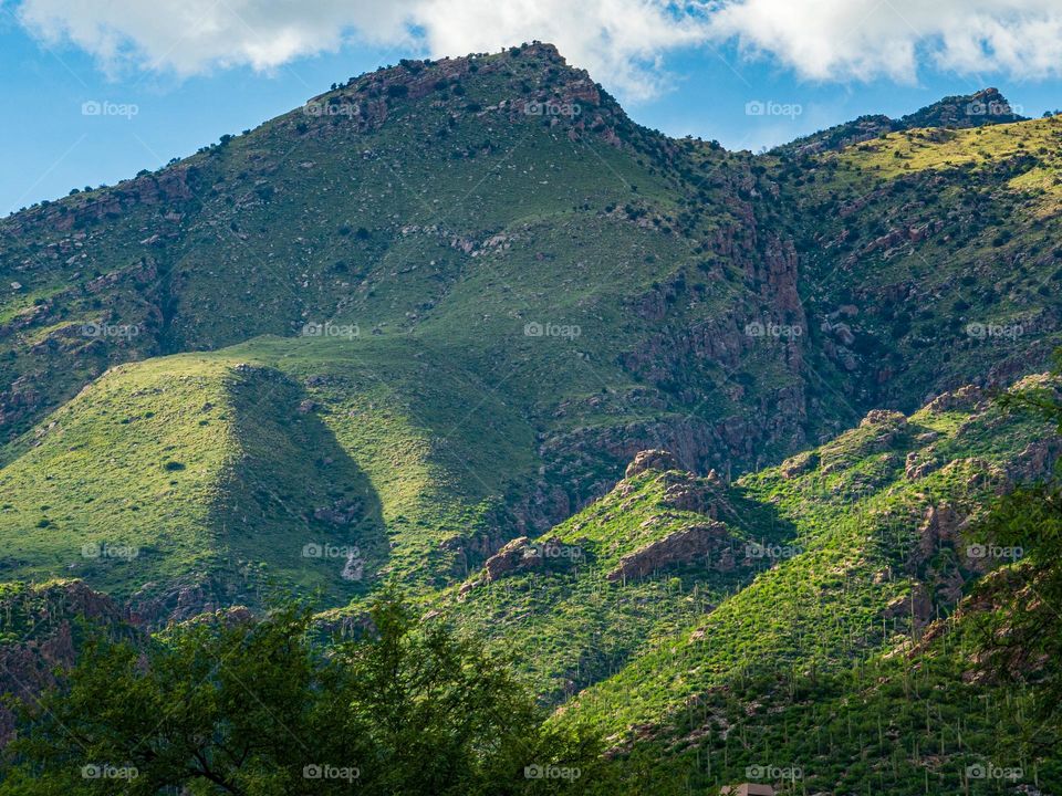 Clouds and sun blend on a green carpeted mountainside creating a beautiful summer afternoon scene