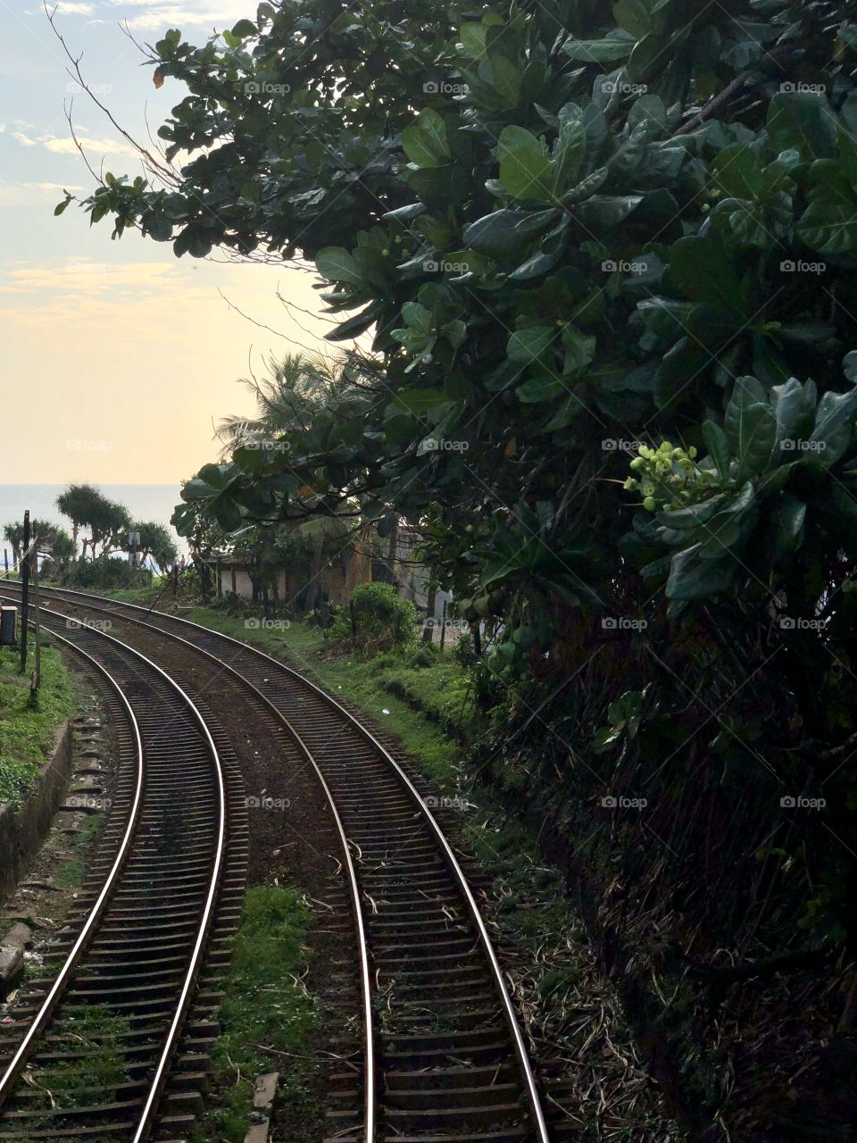 Rail in Colombo. Sri Lanka 
