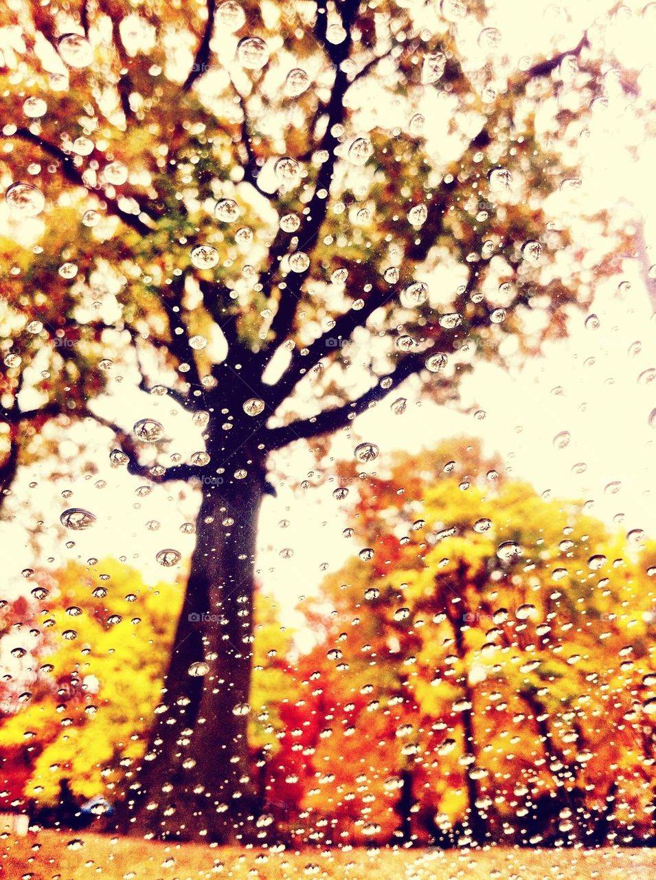 fall