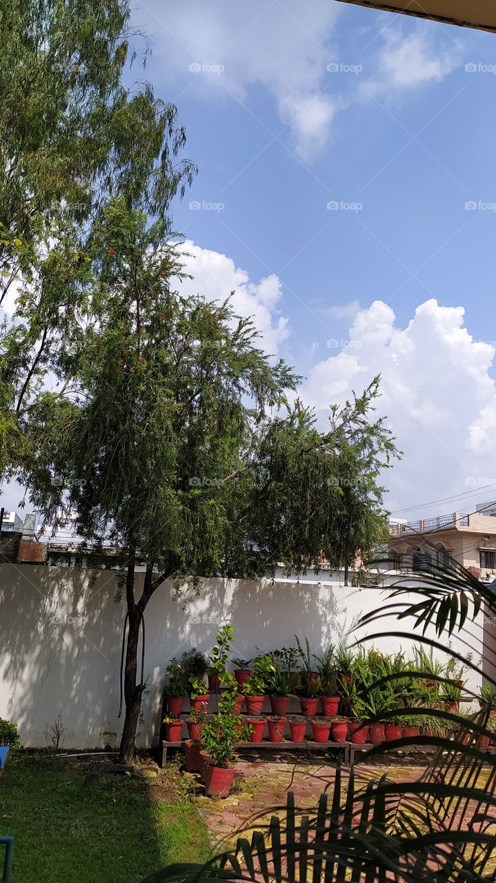 Nature spreads beauty everywhere