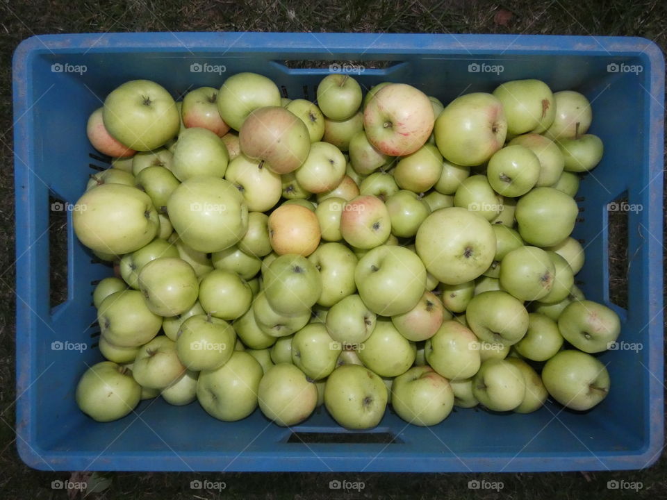 case full with apples